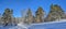 Sunny frosty day in winter pine and birch forest - panorama