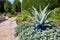 Sunny Garden Pathway with Majestic Agave in Blue Pot