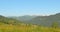 Sunny green mountains. Blue sky and hills meadow. Panning. Forest in the mountains. Panorama Beautiful pine trees on the