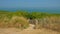 Sunny hiking path through the dunes along the French opal coast