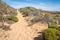 Sunny hiking trail inmidst the dune landscape, Costa Vicentina Portugal