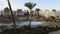 Sunny Hotel Resort with Blue Pool, Palm Trees and Sunbeds in Egypt. Time Lapse