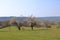 Sunny idyllic rural landscape with fields and meadows in Germany