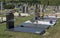 Sunny illuminated jewish graveyard