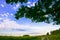 Sunny landscape of the countryside in the beginning of summer. A widely spreading shady oak tree next to the deserted country road