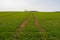 Sunny landscape field rural outdoor adventure image