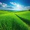 Sunny landscape with green field and clear blue Beautiful panoramic natural