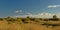 Sunny landscape in Guadalhorce river estuary nature reserve