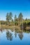 Sunny landscape of Swedish lake and nature reserve during sunrise surrounded with pine forests