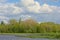 Sunny marsh landscape with forest in Ghent, Belgium