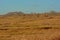 Sunny marsh landscape with meadows, bare trees and golden reed in autumn