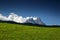 Sunny meadow and forest with jagged peak of Sexten Dolomites