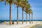 Sunny Mediterranean beach, promenade with palm trees, Torrevieja, Spain