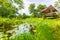 Sunny midday with pond in the forest. A cabin near pond