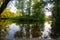 Sunny morning in Nature protected park area De Malpie near Eindhoven, North Brabant, Netherlands. Nature landscapes in Europe.