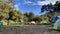 Sunny morning in a tent camp at the foot of Mount Kilimanjaro. Tropical forest, green hills and blue sky