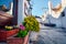 Sunny morning view of strret with trullo trulli - traditional Apulian dry stone hut with a conical roof. Bright spring cityscap