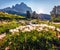 Sunny morning view of western slope of Tre Cime di Lavaredo mpountain peaks. Bright summer scene of Dolomiti Alps, South Tyrol, It