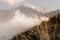 Sunny mountain landscape with bunch of dry spikelets of alpine meadow in golden sunlights on slope, closeup, and silhouette.