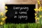 Sunny Narcissus, Chalkboard, Quote Everything Is Good In Spring