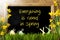 Sunny Narcissus, Easter Egg, Bunny, Text Everything Is Good Spring
