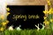 Sunny Narcissus, Easter Egg, Bunny, Text Spring Break