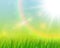 Sunny natural background