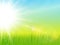 Sunny natural background