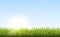 Sunny natural background with vector sun and grass.