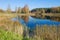 A sunny October day on the Hannibal pond. Petrovskoe in the Pushkinskie Gory. Russia