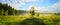 Sunny panorama of foggy lawn with lonely growing birch tree on a background of sunrise sky.