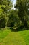 Sunny path to the wooden bridge in the forest with tall trees in summer, Waltham Abbey, UK