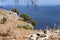 A sunny photo with a picturesque south landscape with mountains, sea and pines