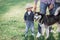 Sunny pictures of a happy little girl with a dog