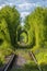 Sunny railroad tunnel through the trees