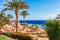 Sunny resort beach with palm tree at the coast shore of Red Sea in Sharm el Sheikh, Sinai, Egypt, Asia in summer hot. Bright sunny