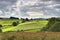 Sunny rural farmland scene