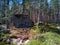 Sunny Scandinavian forest with granite boulders. Mobile photo.