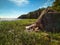 Sunny Scandinavian forest with granite boulders. Mobile photo.