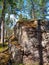 Sunny Scandinavian forest with granite boulders. Mobile photo.