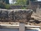 Sunny scenery of old building ruins in Capernaum Synagogue, Israel