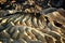 Sunny scenery of the Zabriskie Point in Death Valley National Park, California - USA