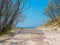 Sunny sea view with road, sand dunes and trees