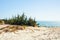 Sunny seascape. Coast of the desert with white sand