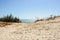 Sunny seascape. Coast of the desert with white sand