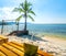 Sunny seascape with tropical palms on beautiful sandy beach in Phu Quoc island, Vietnam