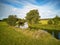 Sunny September day. Summer background with alder tree on riverbank