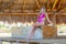 Sunny Serenity: Bikini Elegance in a Beach Hut Pose