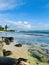 Sunny Serenity: Clear Waters, Rocky Coast, and Palm Horizon in Kauai