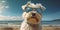 Sunny Smiles Cute Maltese Dog in Sunglasses with a Funny Expression Striking a Pose. Generative AI